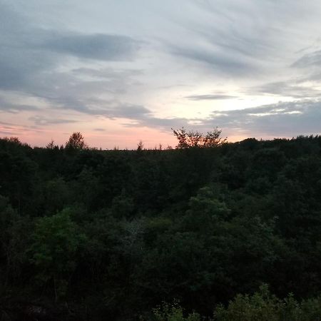 Inn On The Intervale Judique ภายนอก รูปภาพ